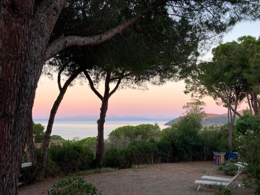 Villa Barabarca Capoliveri (Isola d'Elba) Exterior foto