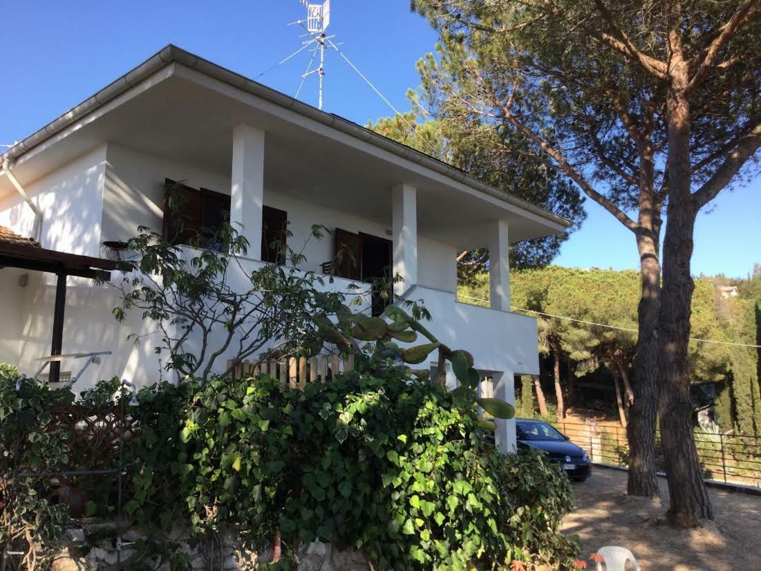 Villa Barabarca Capoliveri (Isola d'Elba) Exterior foto